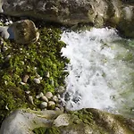 Brezza Del Conero